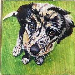 Doggy Portrait