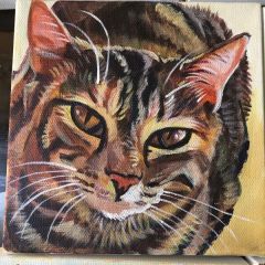 Tabby Painting