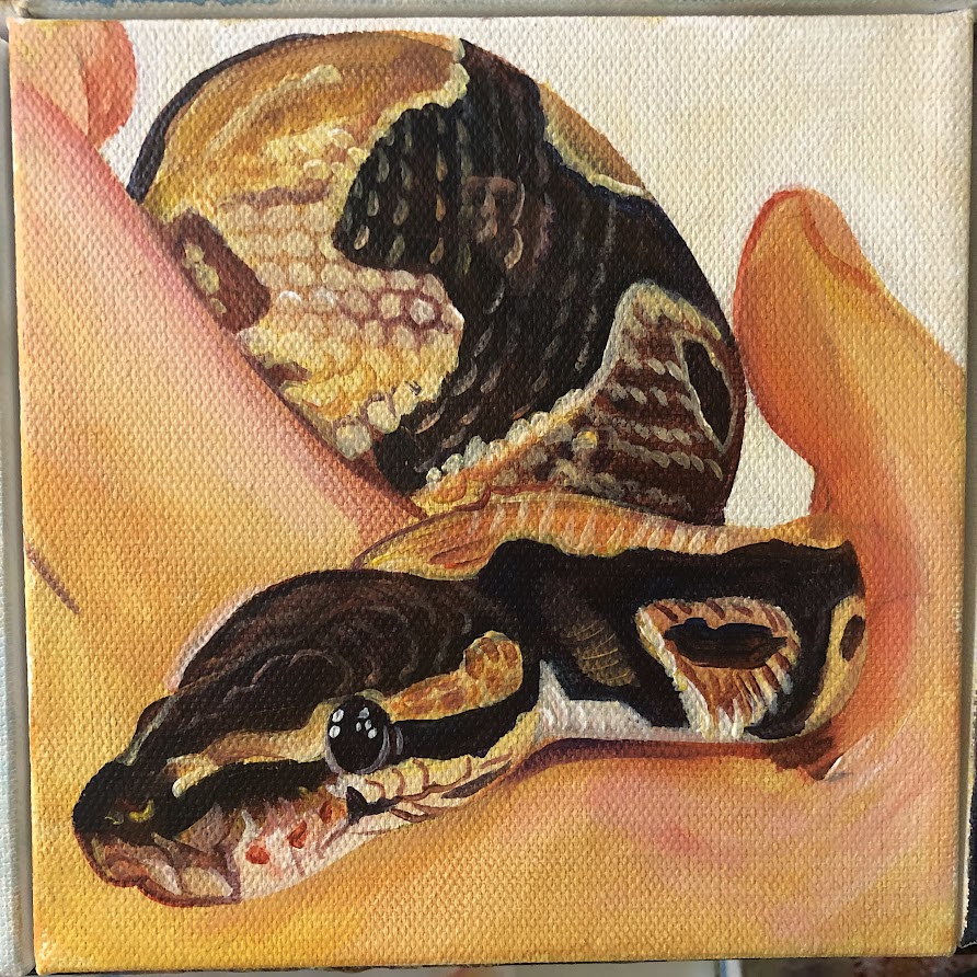 Snake - Ball Python Painting in Acrylic on Canvas