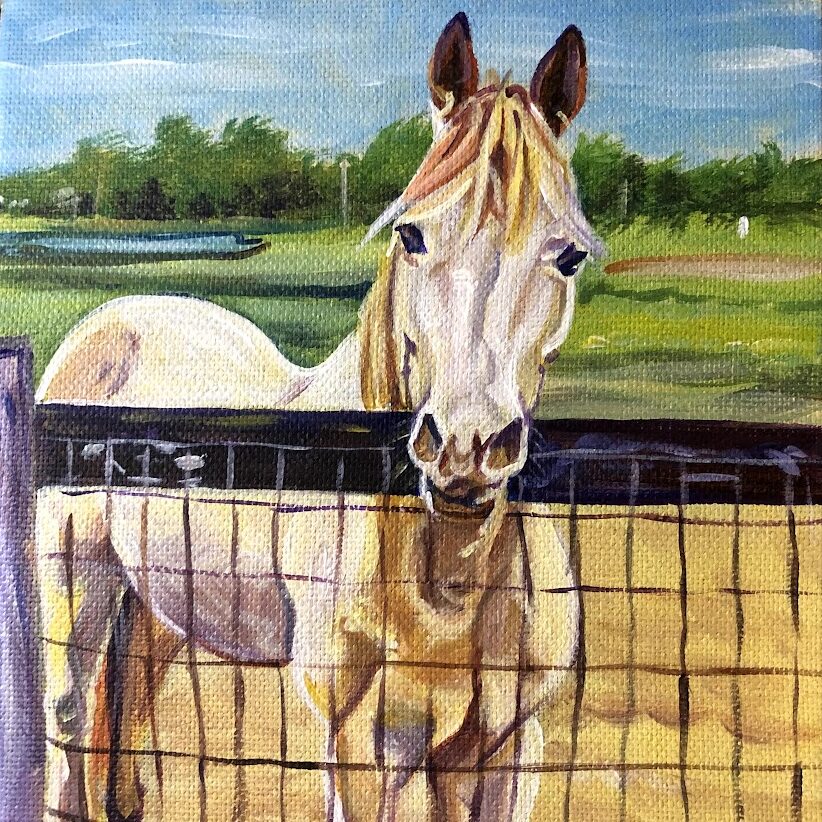 Horse Portrait in Acrylic on Canvas 