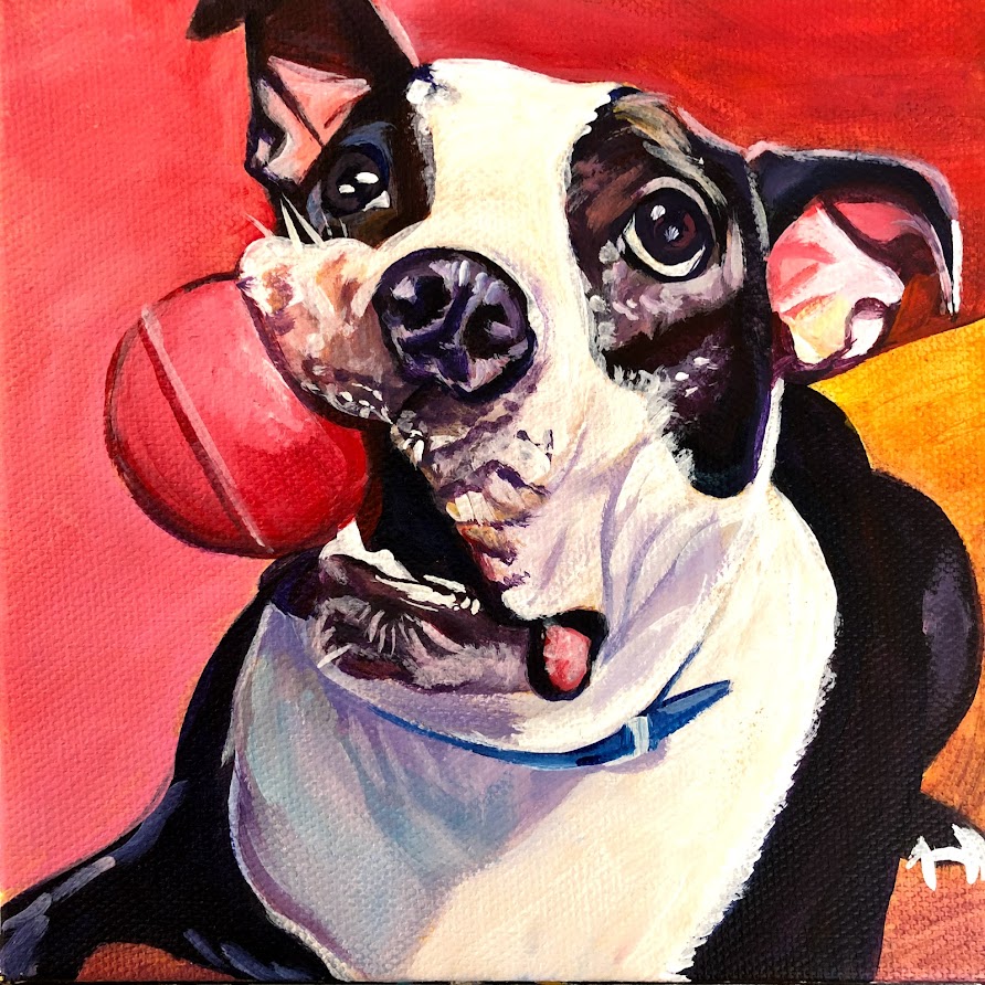 Boston Terrier Dog Painting in Acrylic on Canvas