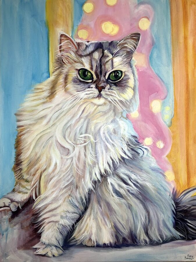 Domestic Long haired Cat Himalayan Cat Painting in Acrylic on Canvas