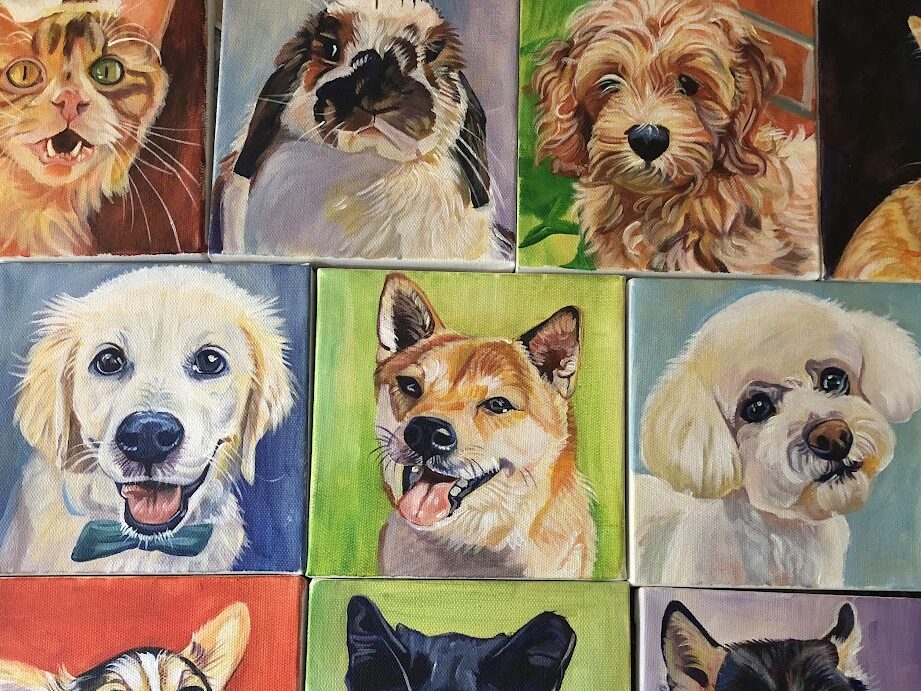 Examples of Animal Portraits in Acylic including labrador, poodle, rabbit, cat